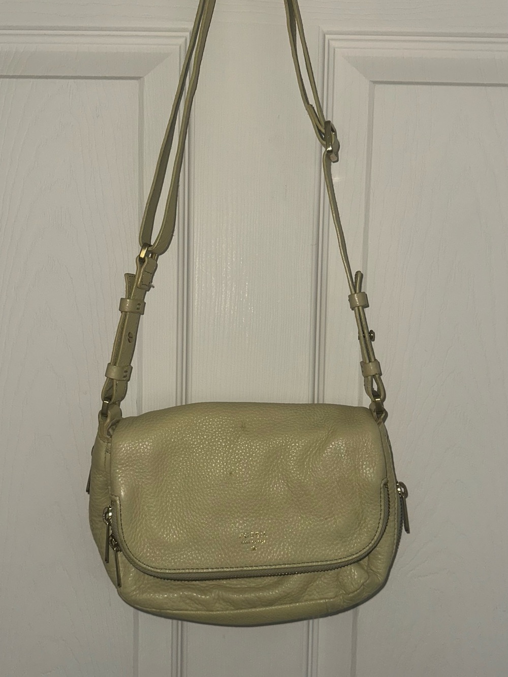 Fossil Pale Green Leather Crossbody Bag